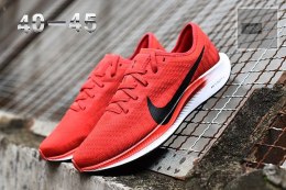 Nike zoom pegasus 35